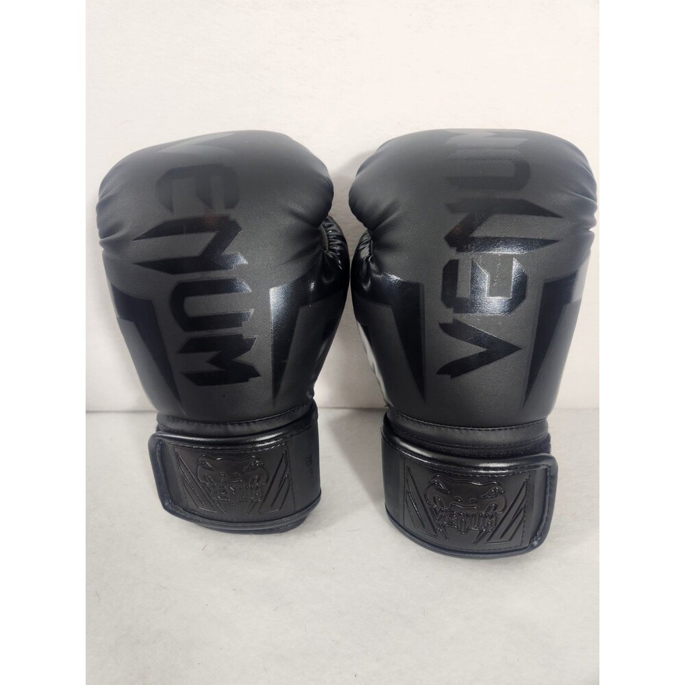 Venum Challenger 2.0 Hook and Loop Boxing Gloves - Black/Black 12 Oz.